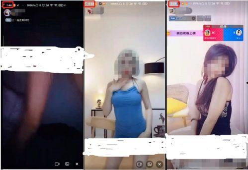 肥佬成人免费视频,揭秘成人娱乐领域的新趋势