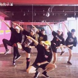 成人兔子舞蹈视频,成人兔子舞蹈视频赏析