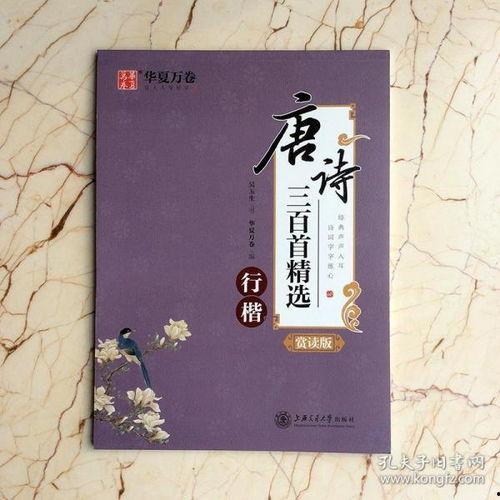 成人读古诗视频教程大全,成人古诗视频教程大全概览