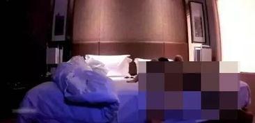 成人性视频免费网,揭秘行业秘密与伦理争议