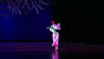 成人舞蹈剑舞教程视频,成人舞蹈剑舞教程视频精华概述