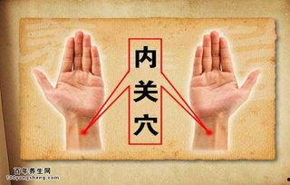 成人止咳推拿图解视频讲解,成人止咳推拿图解视频精华概述